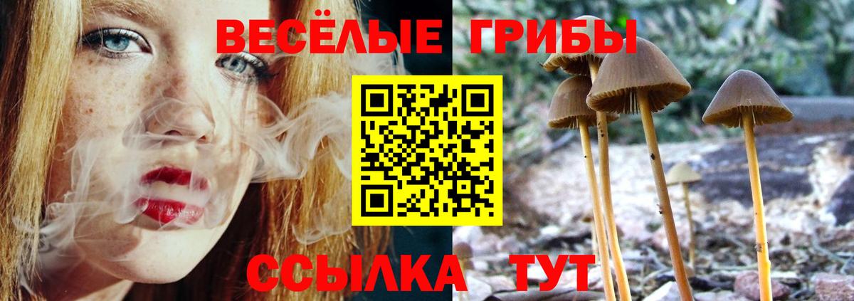 ГАШ  Вход с VPN  Лсд 25  Марихуана  Каменск-Уральский  ГАШИШ  Мефедрон   COCAIN 